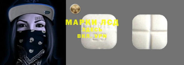 гидропоника Бронницы