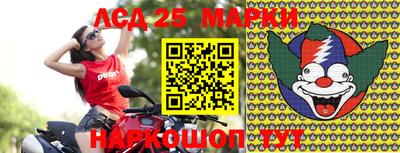 индика Будённовск