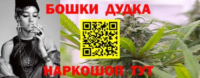 индика Будённовск