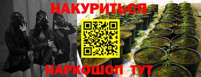 МДПВ Волгодонск
