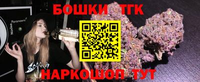 индика Будённовск