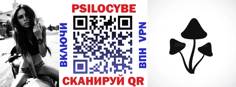 Галлюциногенные грибы Psilocybe  что такое   ОМГ ОМГ   Буйнакск 