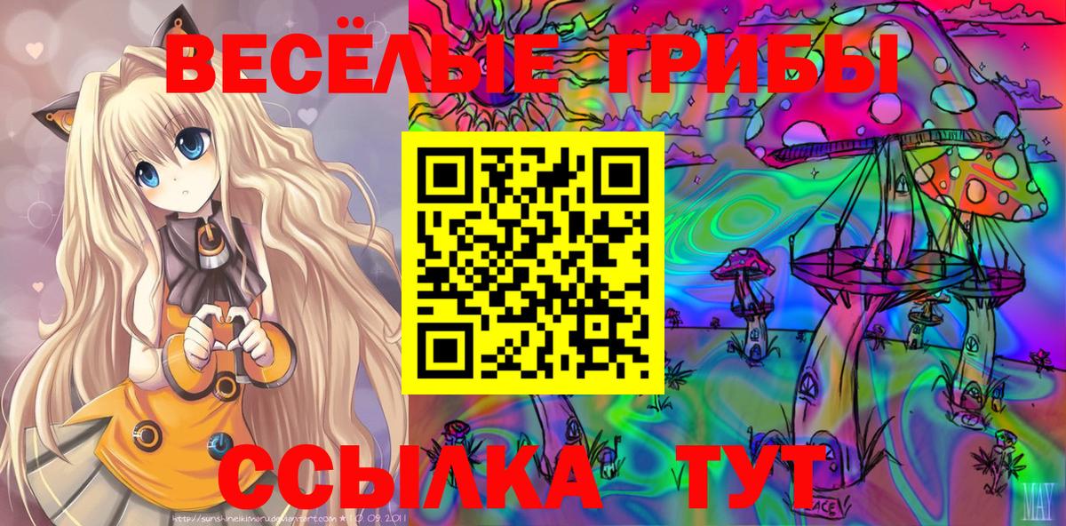 Псилоцибиновые грибы мухоморы  Вход с VPN  Буйнакск 
