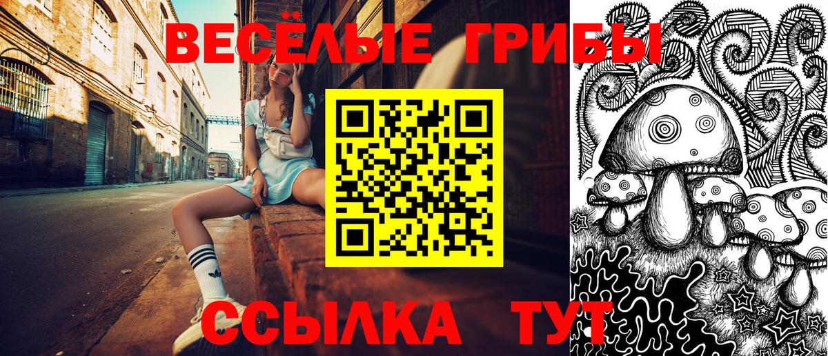 Галлюциногенные грибы прущие грибы  Буйнакск  Псилоцибиновые грибы мицелий 