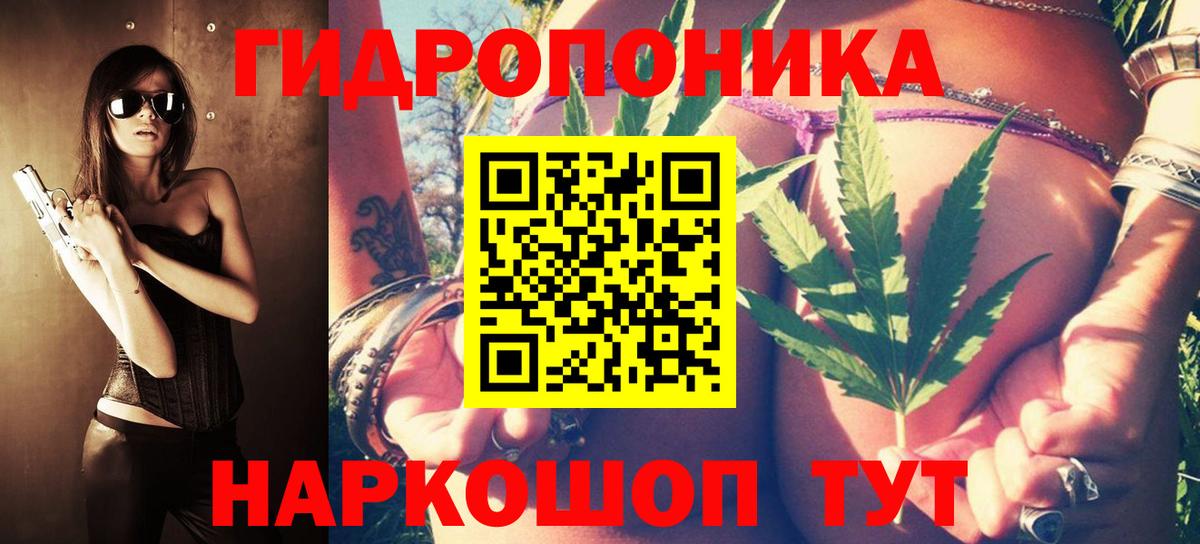 Бошки Шишки Amnesia Буйнакск